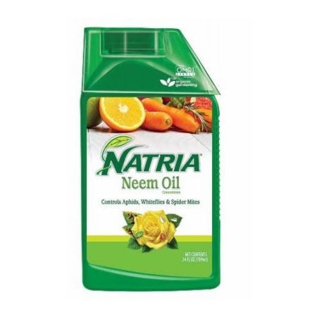 Sbm Life Science 24OZ Neem Oil 706240A