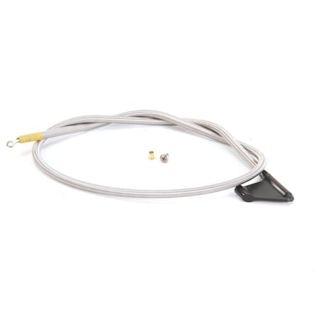 Randell Spring, 30in Gold Door for 73 Curve Glass HD SPR073