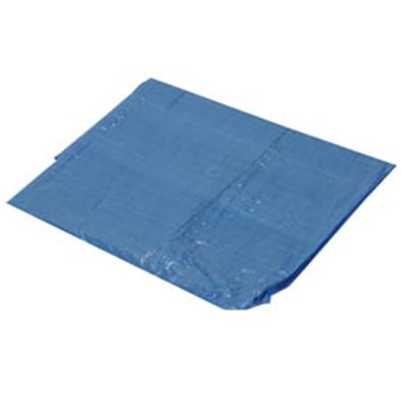 Harpster Of Philipsburg 8 x 10 ft. Light Duty 2.9 oz Tarp, Blue B335708