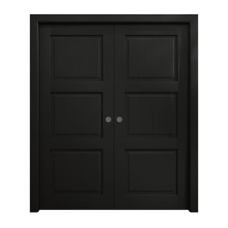 Sartodoors Sliding French Double Pocket Doors 48 x 84 inches, Ego 5010 Painted Black Oak, Kit Rail Hardware , EGO5010DP-CHK-4884