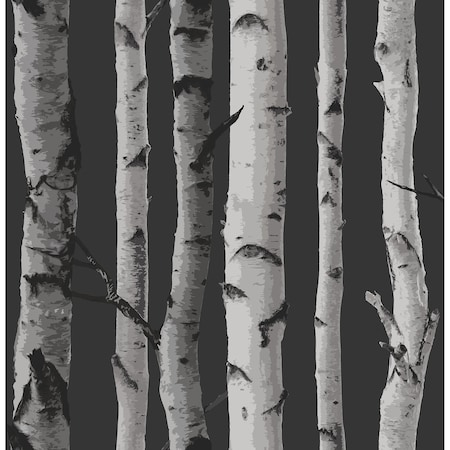 Fine Decor Distinctive Black Birch Tree Wallpaper 2900-31052