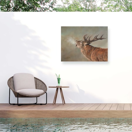 Trademark Fine Art Outdoor Canvas Art David Stribbling 'Red Deer Stag' Wall Art for Patios, or Gardens GRL00329-OC1419WR