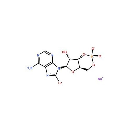 Ak Scientific 8-Br-cAMP Na (25mg), CAS 76939-46-3 8311AJ-25mg
