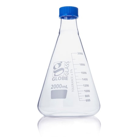 Globe Scientific Erlenmeyer Flask, Colorless, 280 mm H 8422000