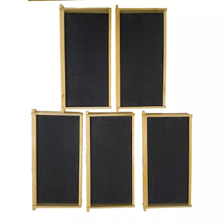 Harvest Lane Honey Deep Beehive 5 Frames WWFFDB-103-5