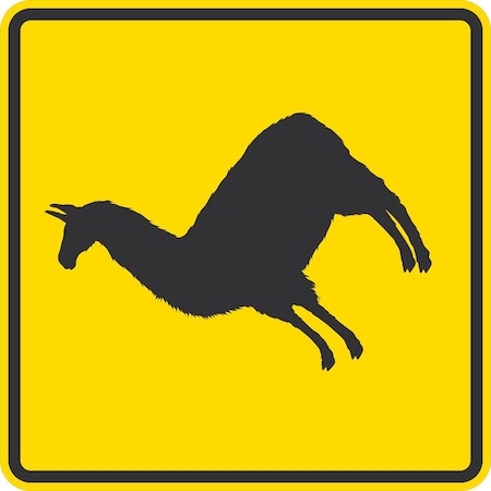 Lyle Alpaca Graphic, 30x30, Diamond Grade, Yellow G-15112-DG_30x30