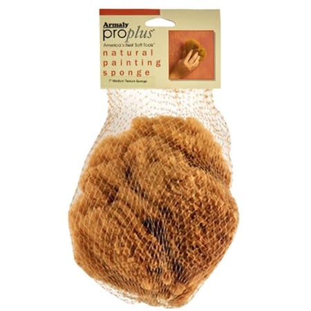 Armaly Sponge Artist Natl Crs 4-5In 15217