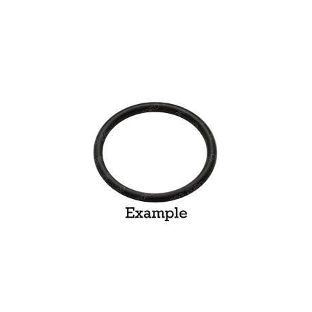 Taylor-Dunn REPLACEMENT O-RING 4519-174