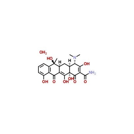 Ak Scientific Tetracycline (5g), CAS 60-54-8 C884-5g