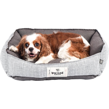 Simple Deluxe FluffyDream Calming Dog Bed, Super Soft Pet Bed with Pillow Edge, Dog Sofa Bed, Cute Bed Sofa for P PTDBEDCUD2420GRY