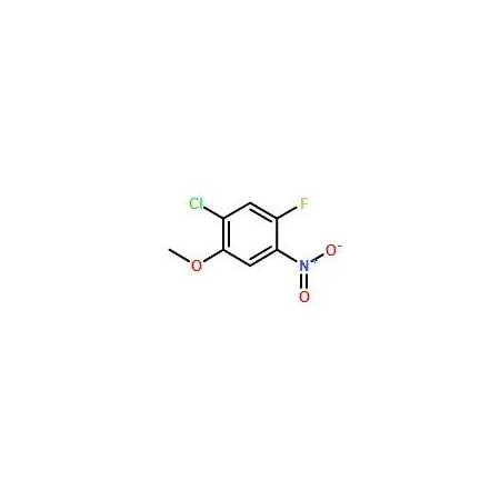 Ak Scientific 2-Chloro-4-fluoro-5-nitroanisole (1g), CAS 84478-76-2 V7928-1g
