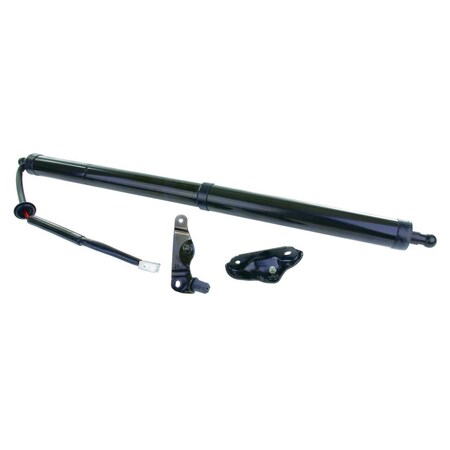 Stabilus Liftgate Lift Support (R) 0 Inch 19-14 Toyota 2Q-587031