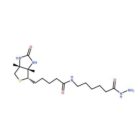 Ak Scientific Biotinamidocaproyl hydrazide (100mg), CAS 109276-34-8 6184AH-100mg