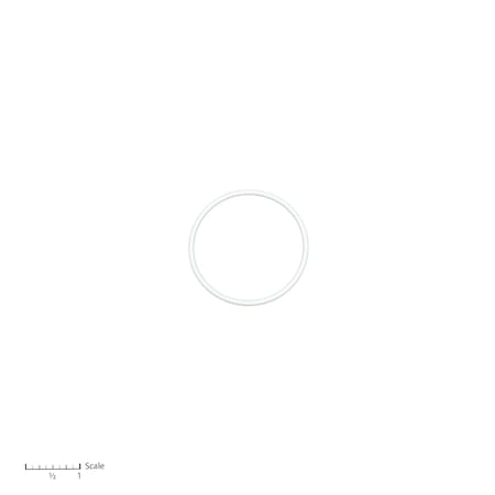 Bedford Precision Parts Teflon O-Ring Replacement for Graco 164964 15-238
