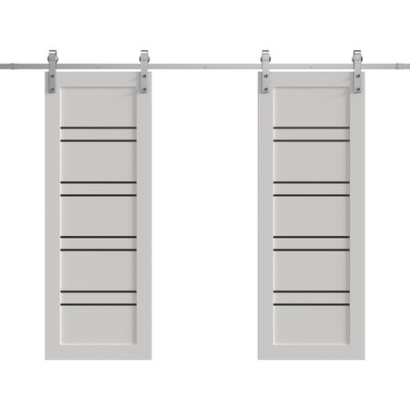 Sartodoors Double Barn Door 56 x 96 inches, BASIC 4901 White with Black Glass, 13FT Silver Rail Track Set, S BASIC4901DB-S-WS-5696