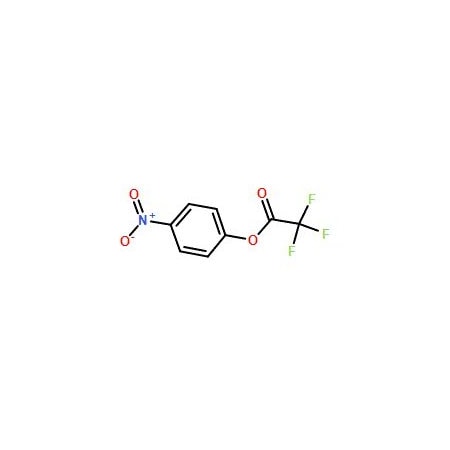 Ak Scientific 4-Nitrophenyl 2, 2, 2-trifluoroacetate (25g), CAS 658-78-6 0111AC-25g