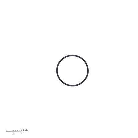 Bedford Precision Parts O-Ring 0-2486