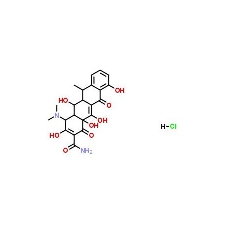 Ak Scientific Doxycycline HCl (1g), CAS 10592-13-9 H909-1g