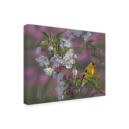 Trademark Fine Art Outdoor Canvas Art Jeff Hoff 'Gold Pink White Goldfinch' Wall Art for Patios, or Gardens GRL00545-OC2432WR