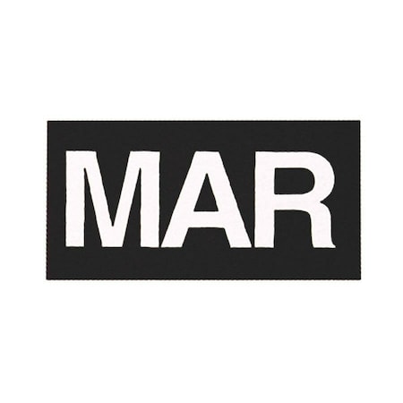 Magna Visual Magnetic White/Black Months of the Year FH-17