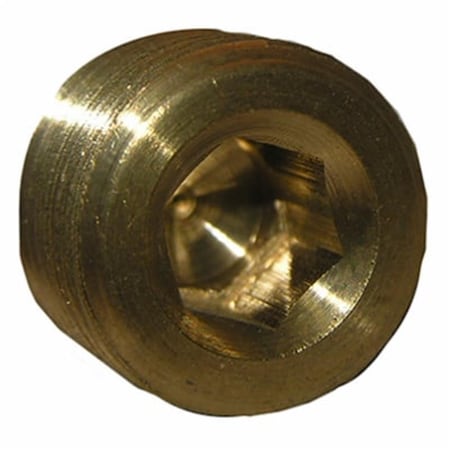 Gizmo 0.375 in. Male Pipe Brass Countersunk Plug GI699706