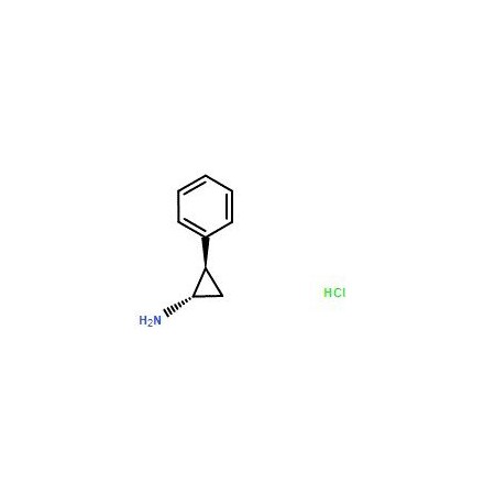 Ak Scientific trans-2-Phenylcyclopropylamine hydrochloride (1g), CAS 1986-47-6 2762AH-1g