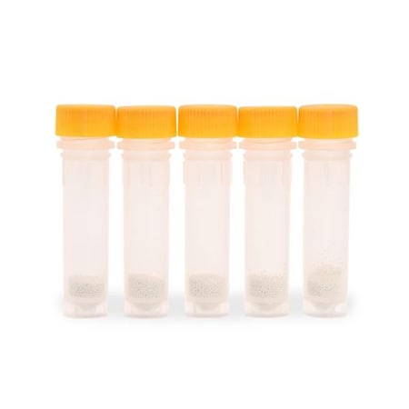 Endless Games 2 ml Tube, Yellow, Yeast, 100PK EN1401131