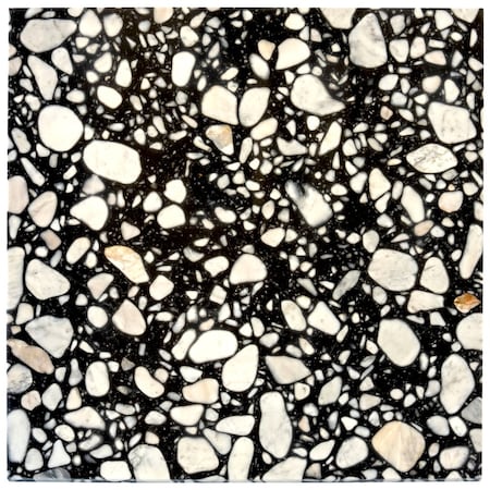 Apollo Tile 24x24 in. Polished Jet Black Terrazzo Large Format Wall and Floor Tile 15.5 sq ft/case, 4PK TRZ88NERPOLA