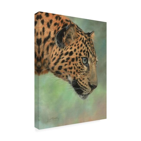Trademark Fine Art Outdoor Canvas Art - David Stribbling 'leopard profile' Wall Art for Patios, or Gardens GRL01598-OC1419WR