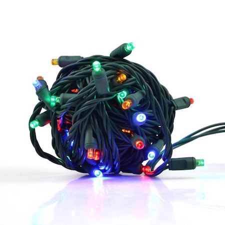 Celebrations LED Grand Mini Multicolored 50 ct String Christmas Lights 25 ft. 11-01158A