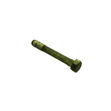 Jlg REPLACEMENT BOLT 70001153