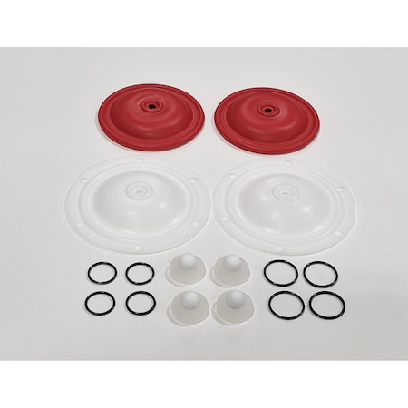 Finish Thompson Wet-End Repair Kit for 1" Pump Model FT FW10V-2TVC