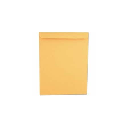 Universal Multipurpose Envelopes, 13" H, 10" W, 250PK UNV44165