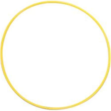 Perfectpitch 36 in. Plastic Hoops, Multicolor PE2543014