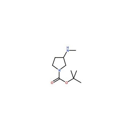 Ak Scientific 1-Boc-3-Methylaminopyrrolidine (1g), CAS 454712-26-6 X3037-1g