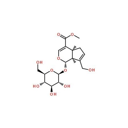 Ak Scientific Geniposide (100mg), CAS 24512-63-8 Q251-100mg