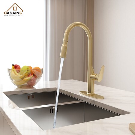 Casainc Single Handle Pull-Down Sprayer Kitchen Faucet with Deckplate in Brushed Gold CA-D4171-BG
