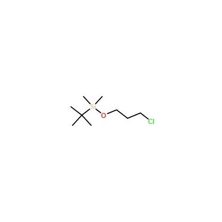 Ak Scientific tert-Butyl(3-chloropropoxy)dimethylsilane (100g), CAS 89031-82-3 4699AC-100g