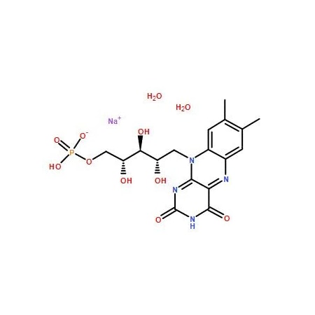 Ak Scientific Riboflavin 5'-phosphate sodium (1g), CAS 130-40-5 X2938-1g