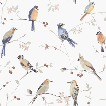 Chesapeake Birdsong Orange Trail Wallpaper 3124-13851