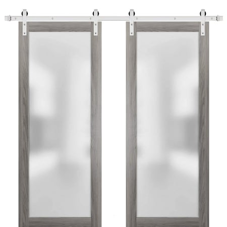 Sartodoors Sturdy Double Barn Door Planum 2102 Solid Core Modern Interior PLANUM2102DB-S-GA-36 x 80 (2* 18x80)