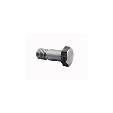 Raymond REPLACEMENT BOLT 824-000-382
