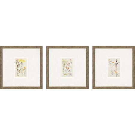 Homeroots Set Of Three Antique Botanical II Gold Framed Print Wall Art, 3PK 525895