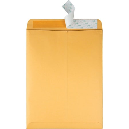 Quality Park Catalog Envelope, Lt Brown, Kraft, PK100 QUA44762