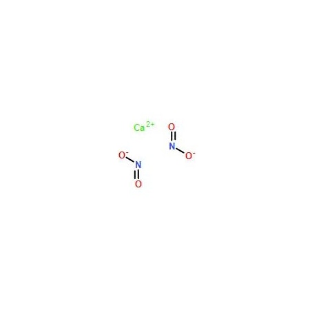Ak Scientific Calcium nitrite solution (500mL), CAS 13780-06-8 S472-500mL