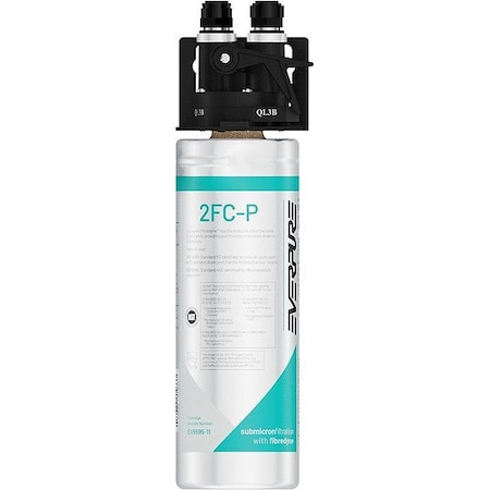 Pentair Everpure Water Filtration System, 3/8 in EV929800-75