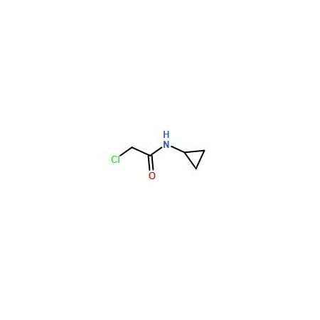 Ak Scientific N1-Cyclopropyl-2-chloroacetamide (25g), CAS 19047-31-5 Y8105-25g