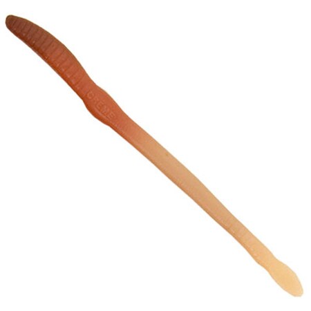 Creme Lure 8 in. Scoundrel Worms, Live, 20PK 301-50-7