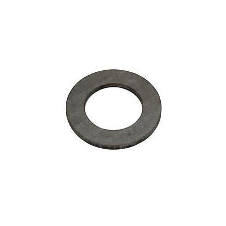 Raymond REPLACEMENT WASHER 828-000-260-003