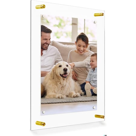 Fab Glass And Mirror Single Acrylic Magnet Wall Frame Size: 14in x19in for Art 11in x17in Gold F1AC3M14X19GD